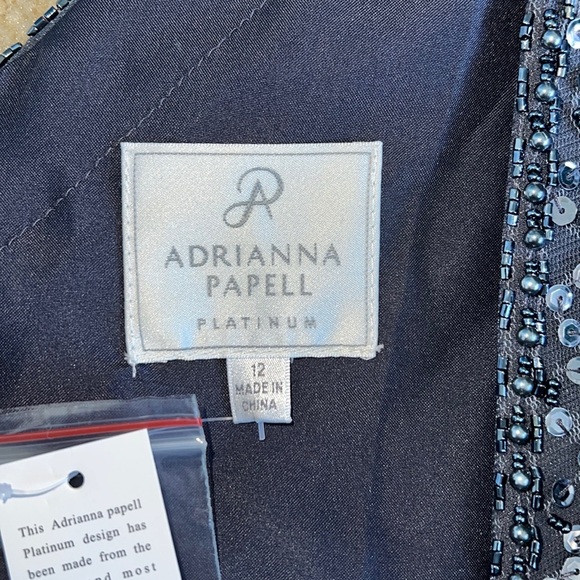 Adrianna Papell Platinum Gown - Picture 7 of 11